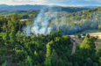 03 Waldbrand bettingen