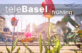 06 telebasel frühling alpabzug